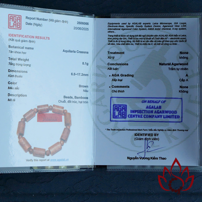 Vòng Trầm Hương Trụ Trúc | 10 Ly | Trầm Tốc Kiến Tự Nhiên Lâu Năm